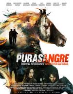 Watch Purasangre Vumoo