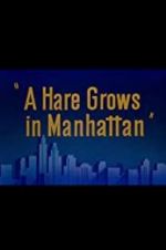 Watch A Hare Grows in Manhattan Vumoo