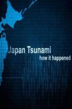 Watch Japan Tsunami: How It Happened Vumoo