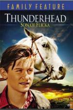 Watch Thunderhead - Son of Flicka Vumoo