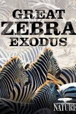 Watch Nature: Great Zebra Exodus Vumoo