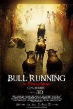 Watch Encierro 3D: Bull Running in Pamplona Vumoo