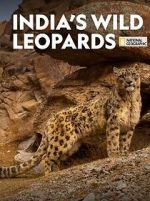 Watch India\'s Wild Leopards (Short 2020) Vumoo