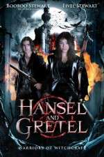 Watch Hansel & Gretel: Warriors of Witchcraft Vumoo