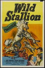 Watch Wild Stallion Vumoo