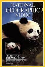 Watch Secrets of the Wild Panda Vumoo