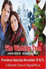 Watch The Wishing Tree Vumoo