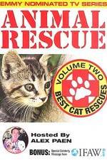 Watch Animal Rescue, Volume 2: Best Cat Rescues Vumoo