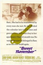 Watch Sweet November Vumoo