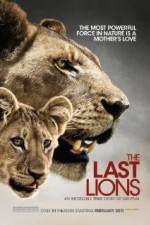 Watch The Last Lions Vumoo