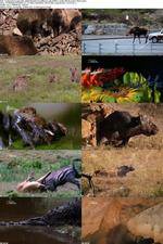 Watch National Geographic - World's Deadliest Lady Killers Vumoo
