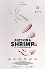 Watch Ants on a Shrimp Vumoo