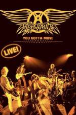 Watch Aerosmith You Gotta Move Vumoo