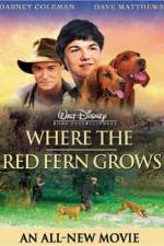 Watch Where the Red Fern Grows Vumoo