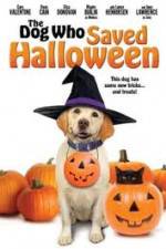 Watch The Dog Who Saved Halloween Vumoo