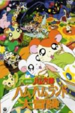 Watch Hamtaro: Adventures in Ham-Ham Land Vumoo