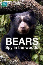 Watch Bears: Spy in the Woods Vumoo