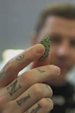 Watch Professor Green: Is It Time to Legalise Weed? Vumoo