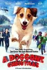 Watch A Doggone Christmas Vumoo