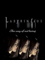 Watch Labyrinthus: The Way of Not Being Vumoo