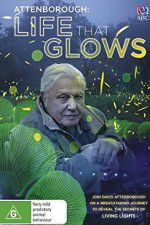 Watch Attenborough\'s Life That Glows Vumoo