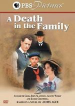 Watch A Death in the Family Vumoo