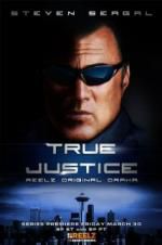 Watch True Justice: Brotherhood Vumoo