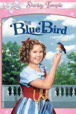 Watch The Blue Bird Vumoo