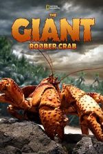 Watch The Giant Robber Crab Vumoo