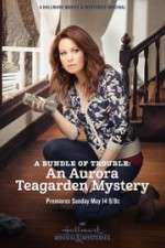 Watch A Bundle of Trouble: An Aurora Teagarden Mystery Vumoo
