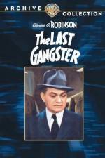 Watch The Last Gangster Vumoo