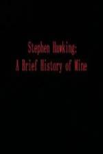 Watch Stephen Hawking A Brief History of Mine Vumoo