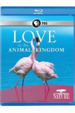 Watch Nature: Love in the Animal Kingdom Vumoo