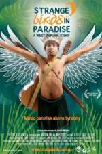 Watch Strange Birds in Paradise A West Papuan Story Vumoo