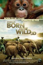 Watch Born to Be Wild Vumoo