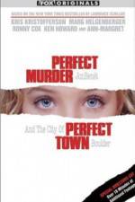 Watch Perfect Murder Perfect Town JonBenet and the City of Boulder Vumoo