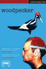 Watch Woodpecker Vumoo