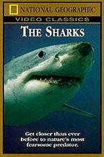 Watch National Geographic The Sharks Vumoo