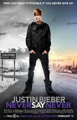 Watch Justin Bieber: Never Say Never Vumoo