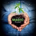 Watch The Magic Plant Vumoo