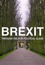 Watch Brexit Through the Non-Political Glass Vumoo