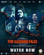 Watch The Kashmir Files Vumoo