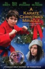 Watch A Karate Christmas Miracle Vumoo