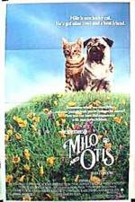 Watch Milo and Otis Vumoo