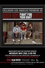 Watch Beastie Boys: Fight for Your Right Revisited Vumoo