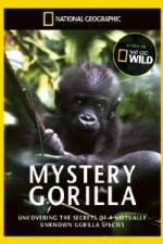 Watch National Geographic Mystery Gorilla Vumoo