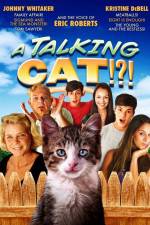 Watch A Talking Cat!?! Vumoo