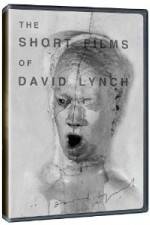 Watch The Short Films of David Lynch Vumoo