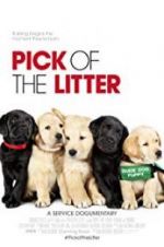 Watch Pick of the Litter Vumoo