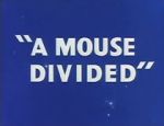 Watch A Mouse Divided (Short 1953) Vumoo